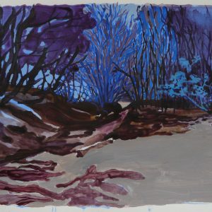 Danube swamp # 1, 32 x 48 cm, acrylic on paper, 2011