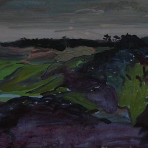 Dunes # 3 (Parnassia), 25 x 50 cm, acrylic on paper, 2012