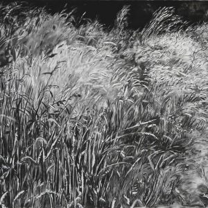 Grassland # 1, 79 x 120 cm, charcoal and conté on paper, 2014