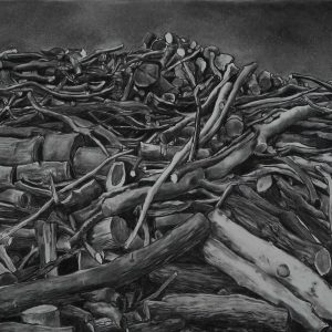 Pile, 78 x 127 cm, charcoal on paper, 2014