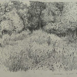 Geuldal # 1, 24 x 32 cm, pencil on paper, 2014