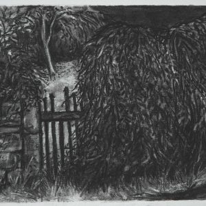 Fence, 30 x 42 cm, charcoal on paper, 2015