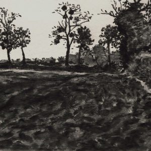 Kasteellaan, 24 x 32 cm, charcoal on paper, 2015