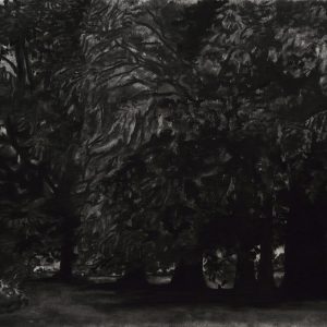 Bomen (Pruisen), 35 x 50 cm, charcoal on paper, 2016