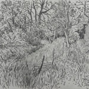 Garden # 3, 23 x 31 cm, pencil on paper, 2013