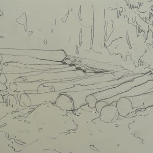 Trunks, 24 x 32 cm, pencil on paper, 2014