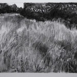 Grassland # 4 (Germany), 30 x 56 cm, charcoal on paper, 2015