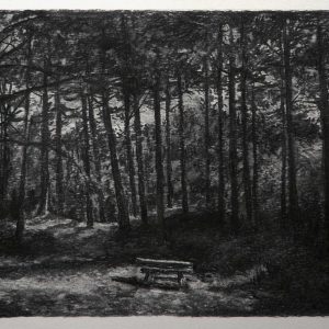 Bench # 2 (Dutch Dunes), 30 x 56 cm, charcoal on paper, 2015