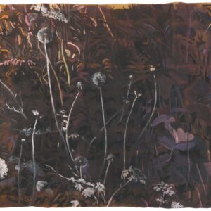 Undergrowth # 2, 53 x 59 cm, mixed media on paper, 2017