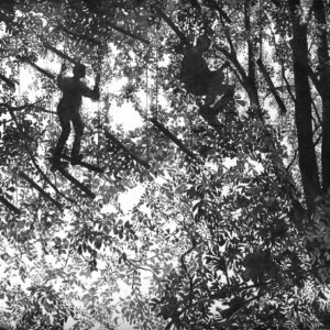 Luchtbrug - Swing Boys, 130 x 190 cm, charcoal on paper, 2016/17