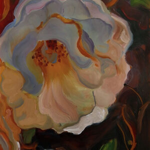 Rose, 20 x 17 cm, oil on perspex on wood panel, 2024